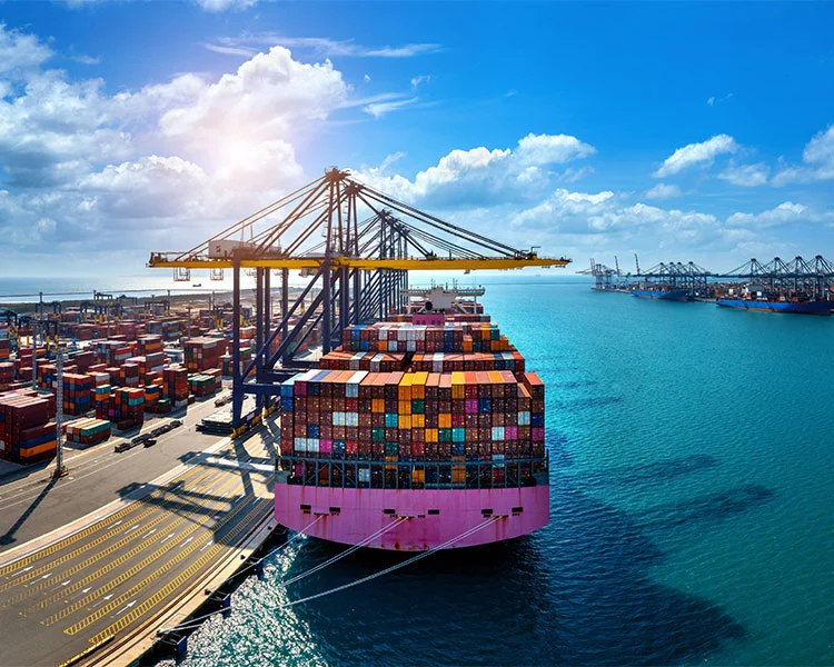 How does sea shipping impact global supply chain resilience