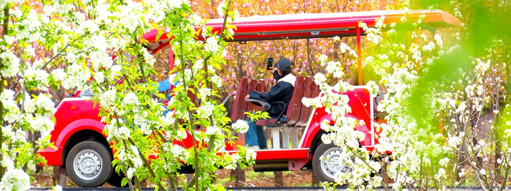 Explore Yushui Village: A Must-Visit Gem on Your Yunnan Journey